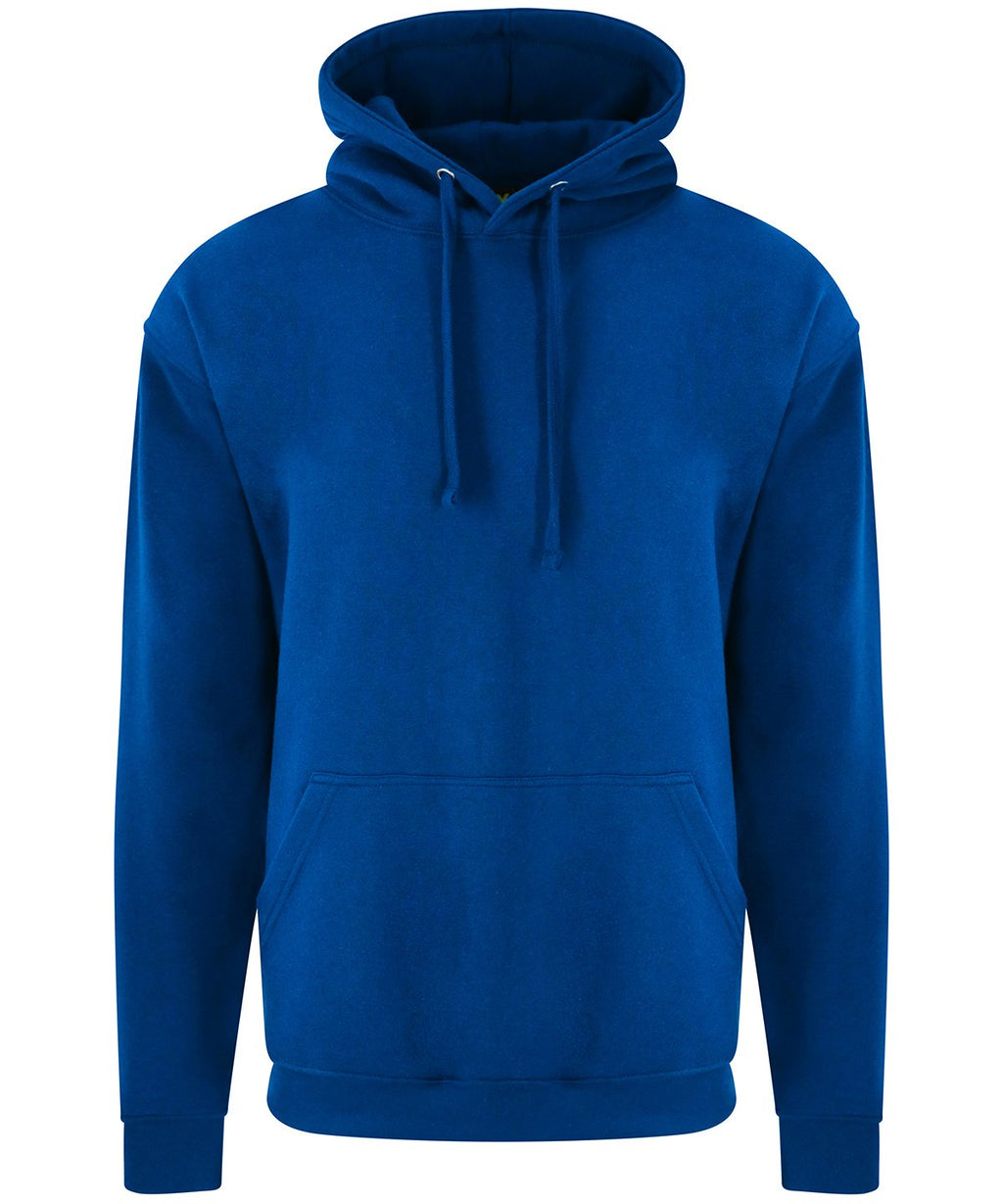 RX350 Pro hoodie